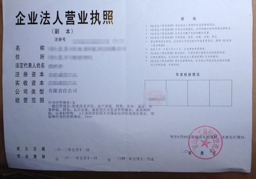 痛客網(wǎng) 工商注冊時(shí),該怎么填經(jīng)營范圍